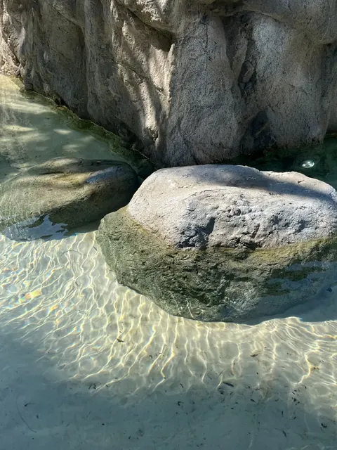 Pedras Western dentro de água limpa, com pátina de alga na linha da lâmina.