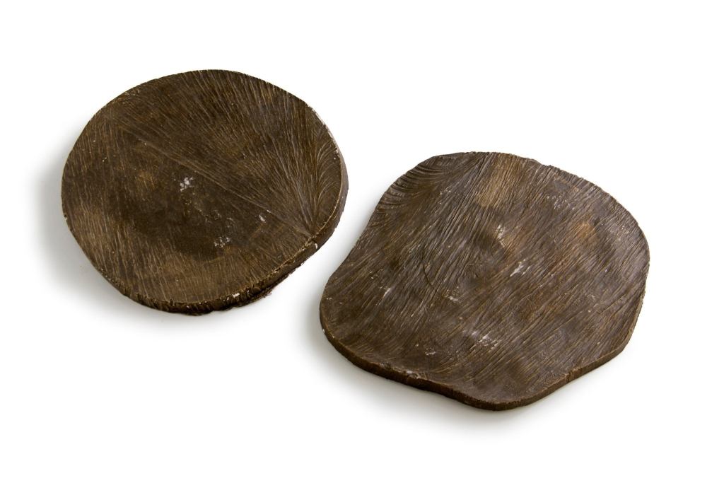 Pisada Eucalipto